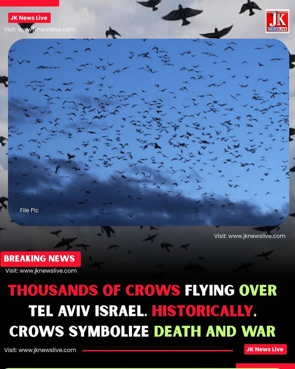 ประเทือง ปราบศัตรูพืช tweet media