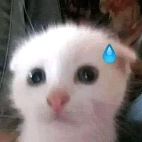 𓏲𝄢 tweet media