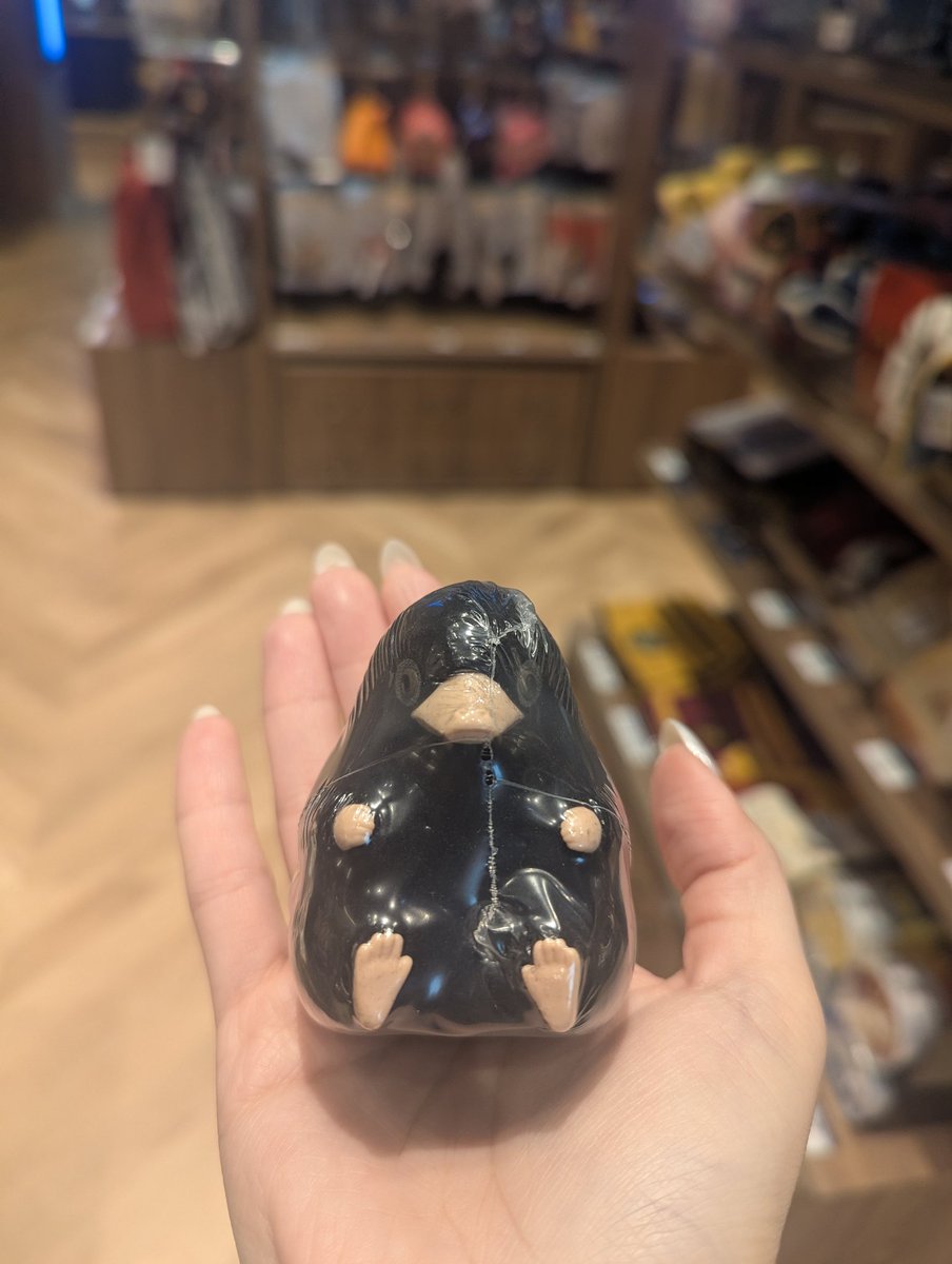 智能動漫迷小張⍨ tweet media