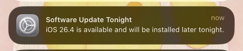 madina 🫯 tweet media