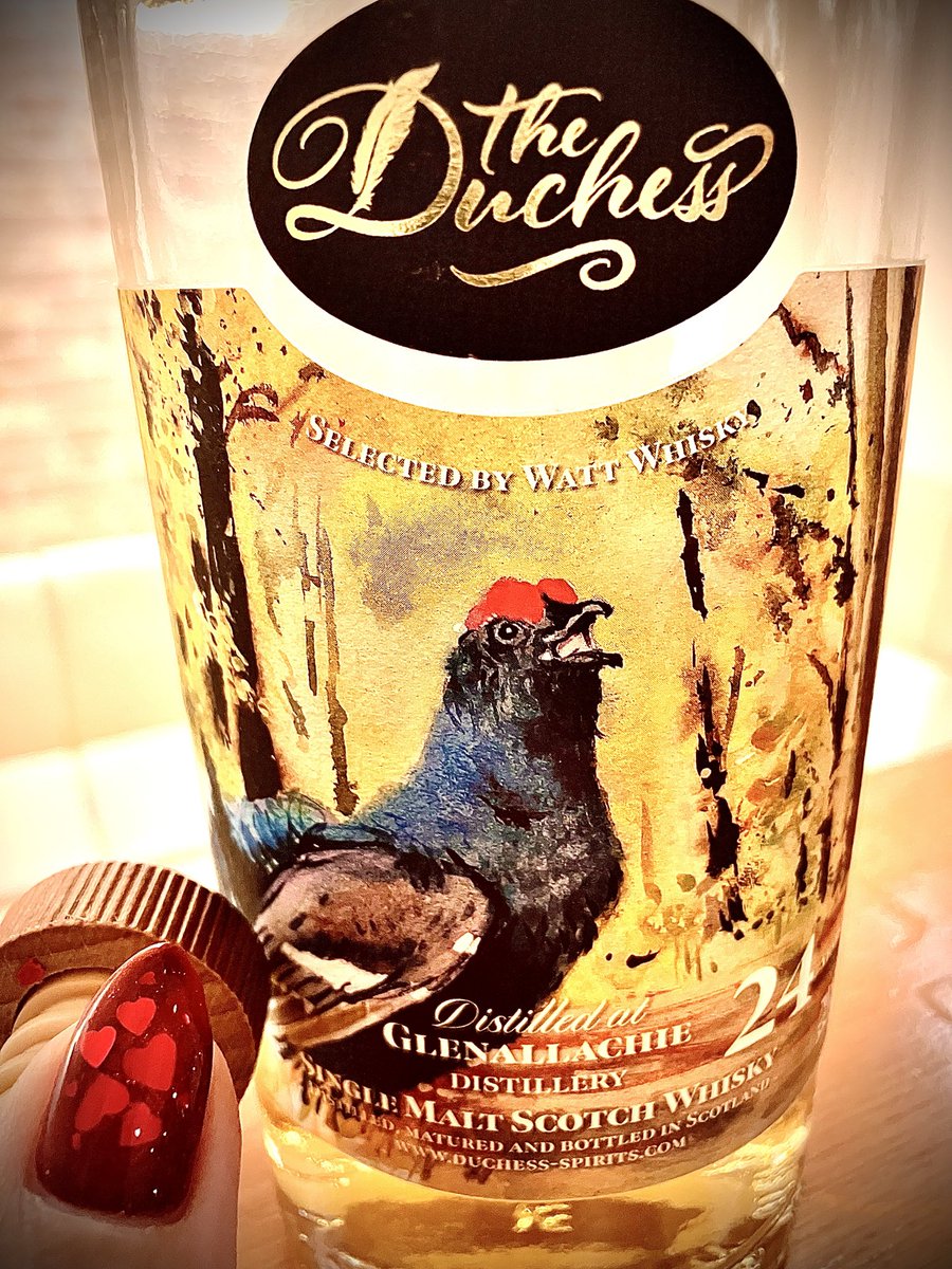 kilchom's tweet photo. お疲れ様です🤠

今日は　GLEN ALLACHIE 24 The Duchess

（オランダの独立系ボトラー「ザ･ダッチェス」が同社の「Game&amp;Wildlife Series」からリリースしたシングルモルト。1995年蒸留。2020年瓶詰。限定289本
55.1%）

をストレートで‥乾杯です🥂

#TWLC
#木笠シリコン栓 https://t.co/WfwzSSTtF5
