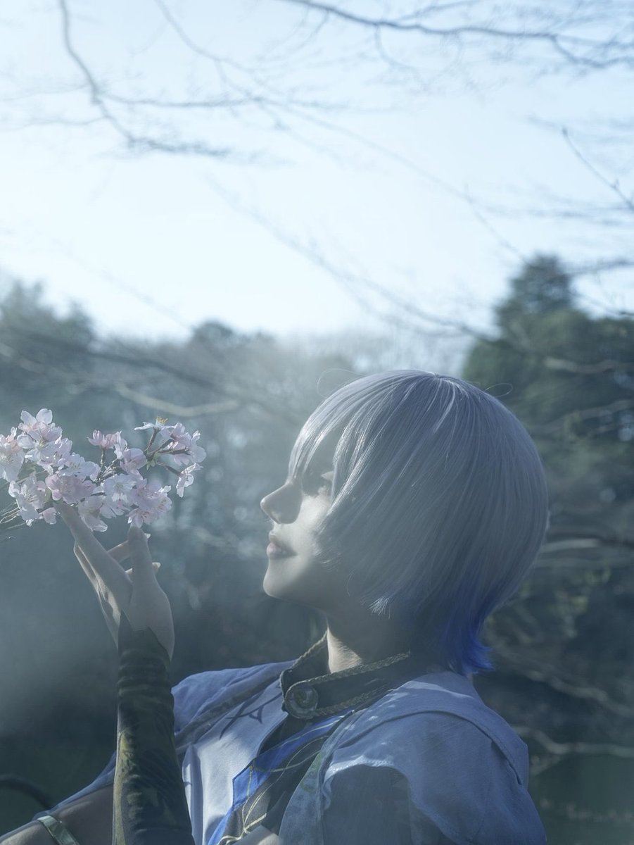 七五ミ tweet media