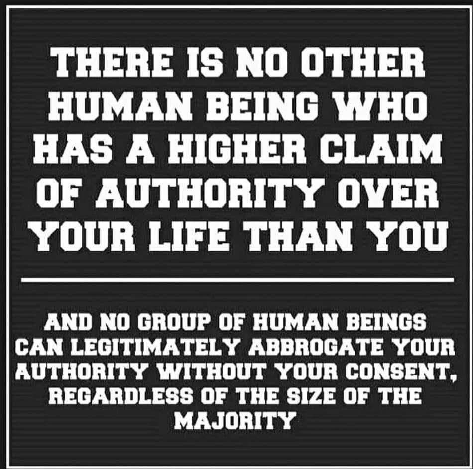 Free Rider tweet media