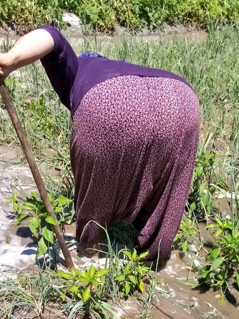 الملگة صفصف🔥👸 tweet media