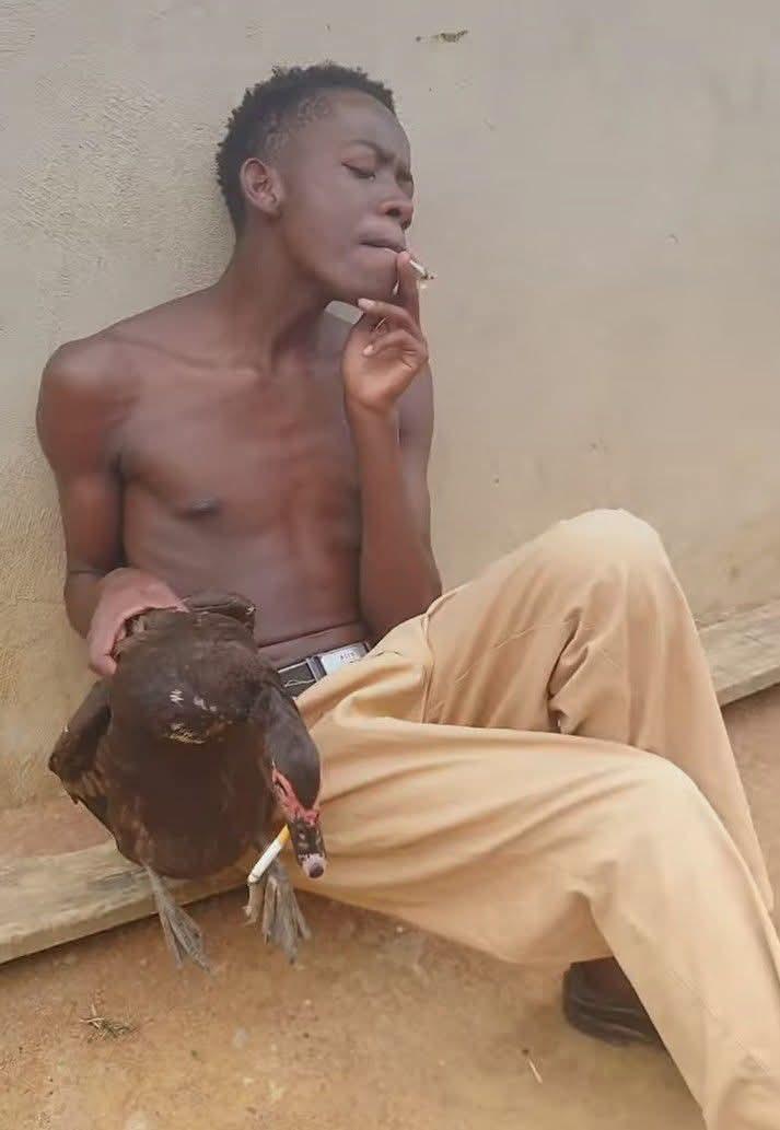 JOSKO💀 tweet media