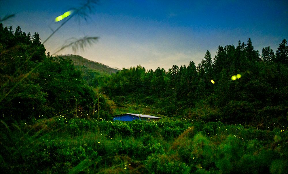 Lydia Mayne tweet media