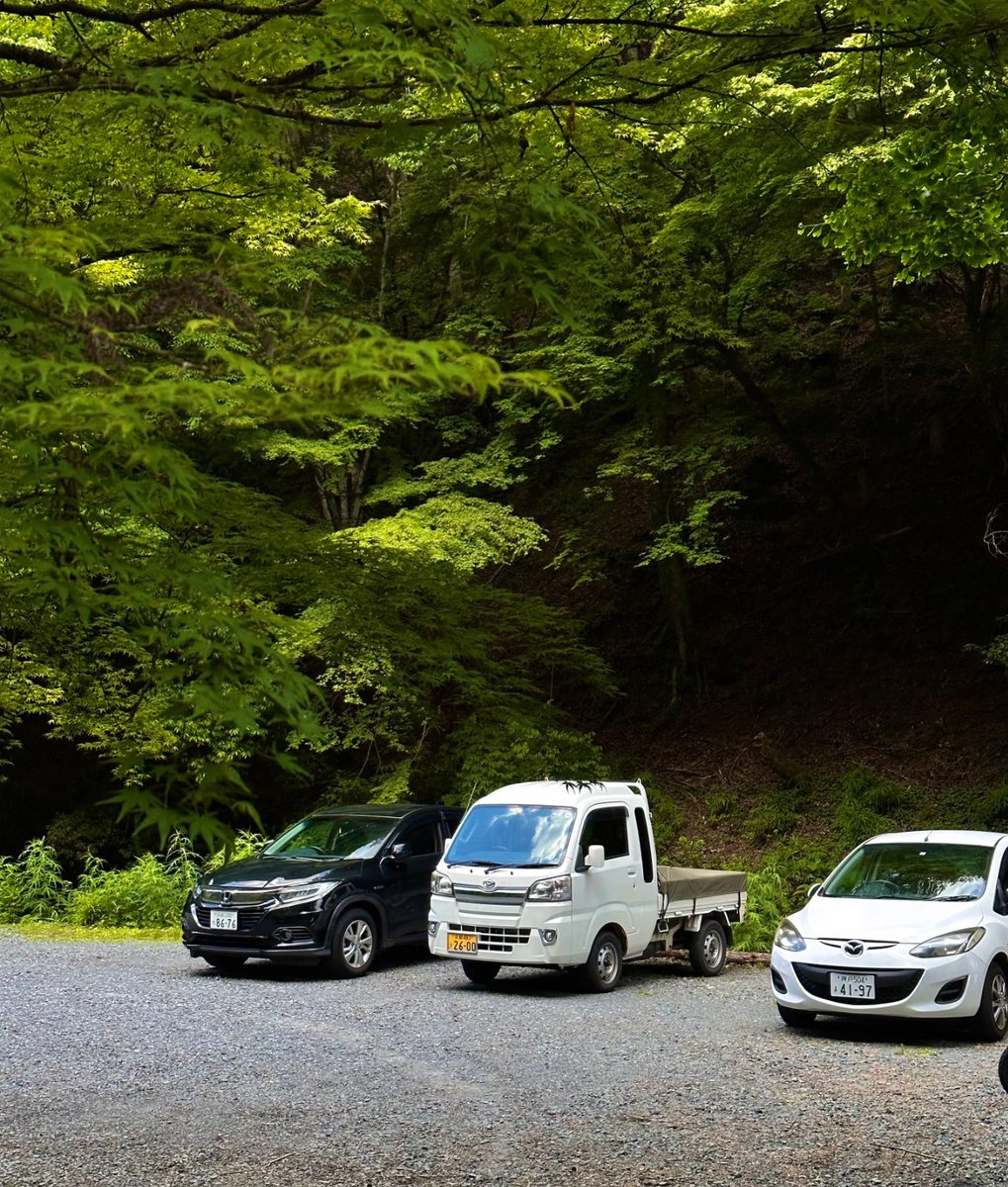 Jocaccia tweet media