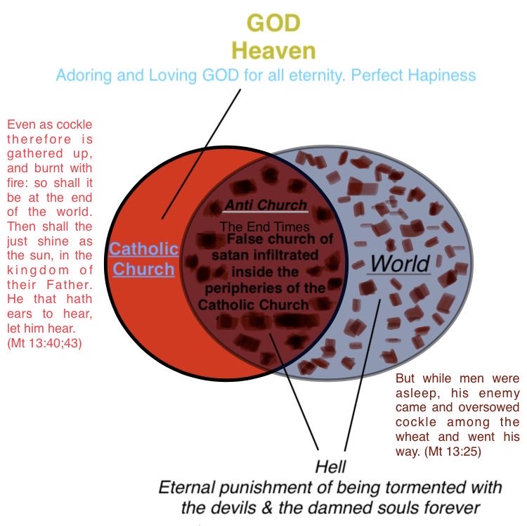 Christianus Catholicus tweet media