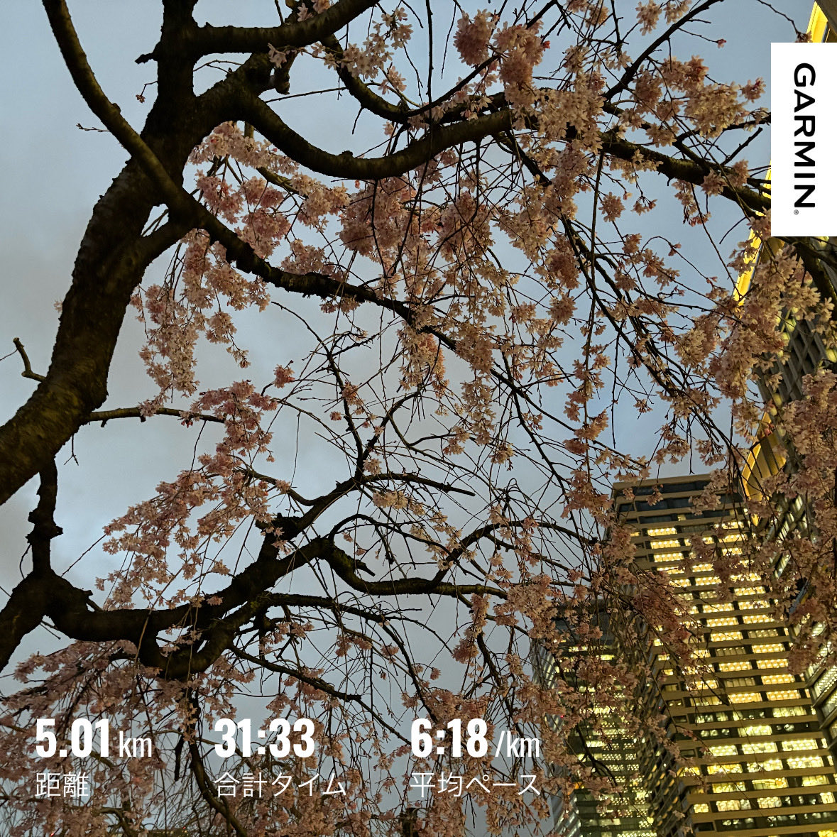 あんきなこまる@5/17野辺山ウルトラ68km tweet media