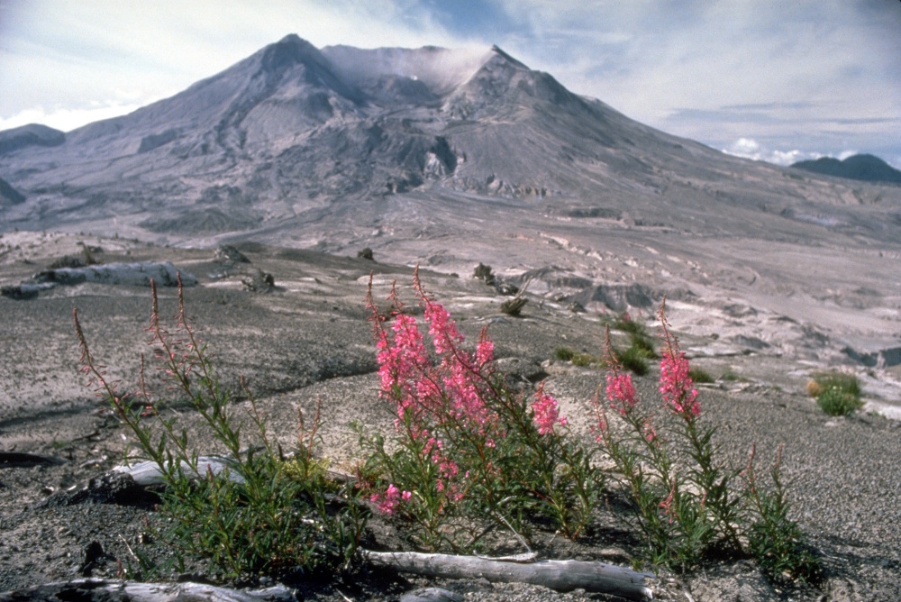 L'Echo du Berry tweet media