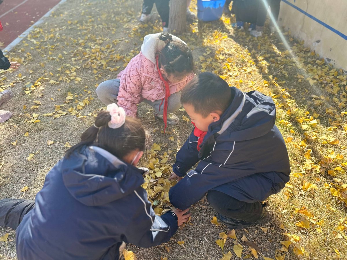 Danilo Lodato tweet media