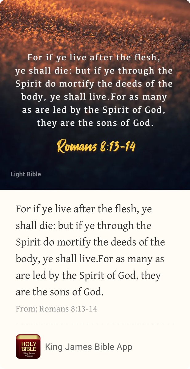 June Pauley tweet media