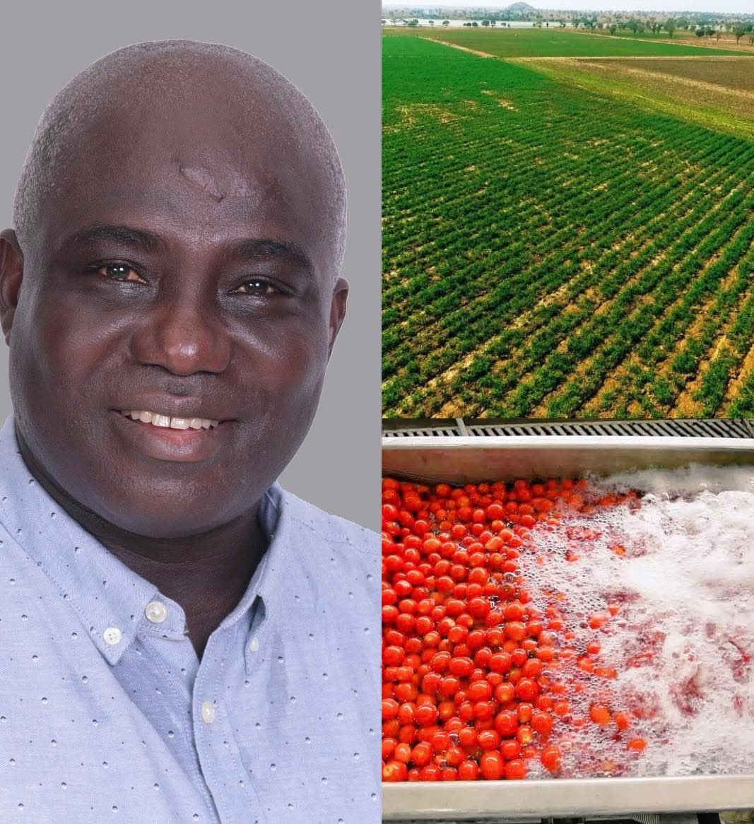 Ghana Chronicles tweet media