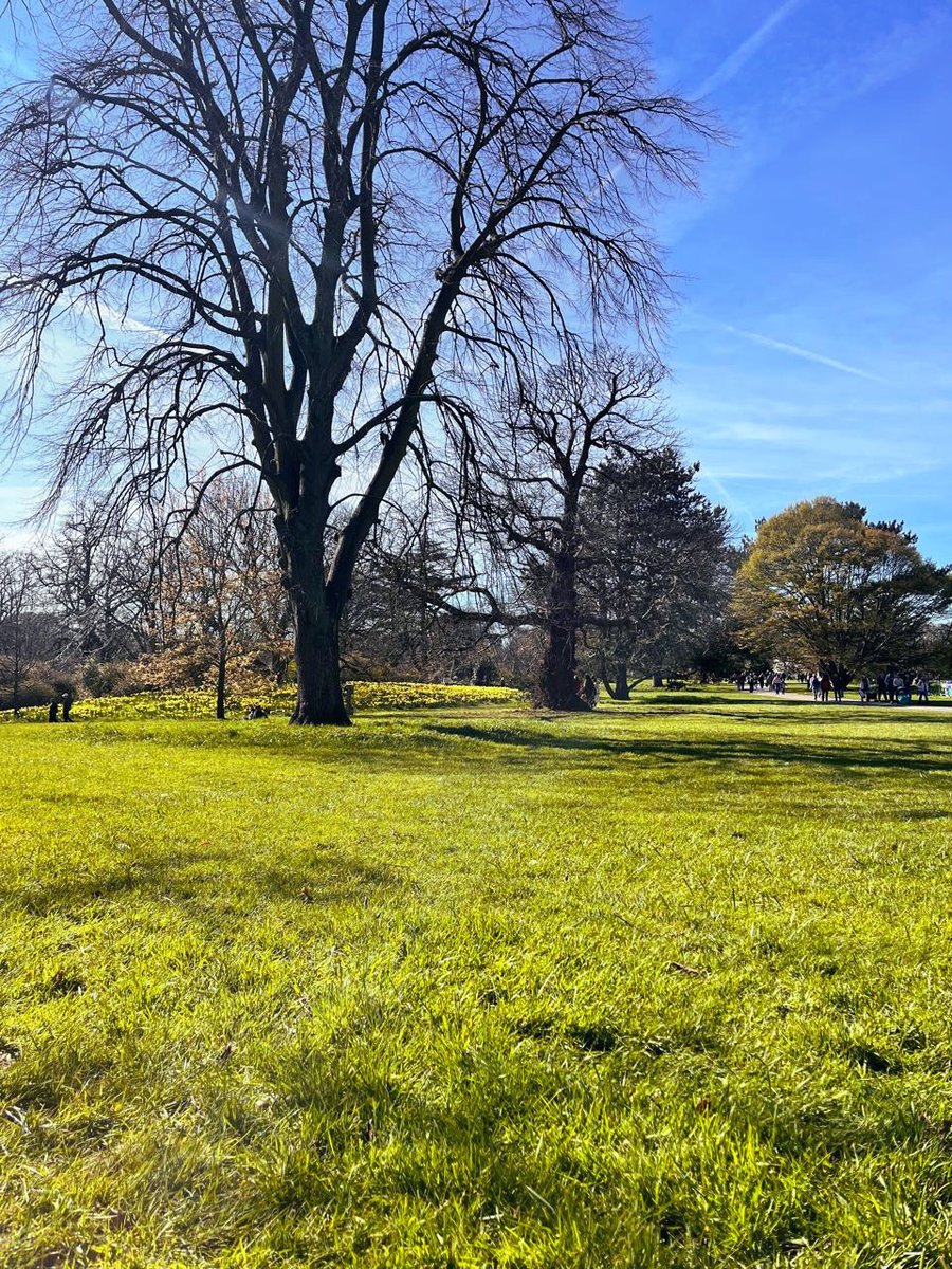 UK in Bengaluru 🇬🇧 🇮🇳 tweet media