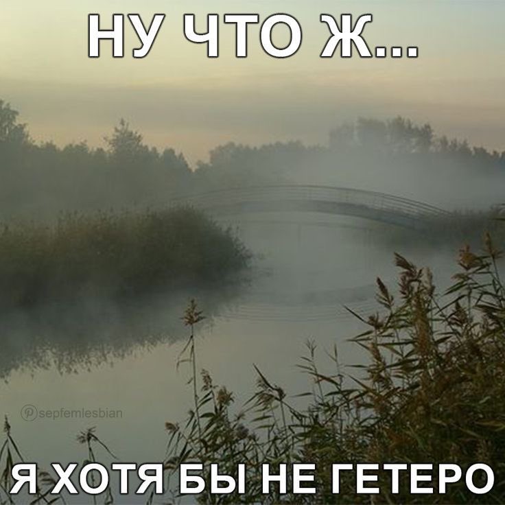 викаса tweet media