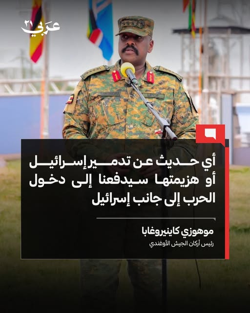 magdy mohamed tweet media