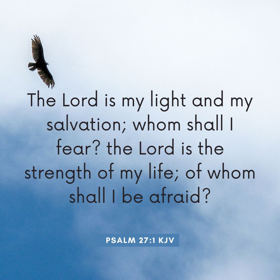 BillyHallowell's tweet image. The Lord is my light and my salvation, whom shall I fear?

When God is your light, darkness has no power over you. Walk boldly today knowing He is with you. 

Comment “NO FEAR” if you’re walking in faith today.

#Psalm27 #NoFear #GodIsMyLight #FaithStrong #ChristianLife #bible
