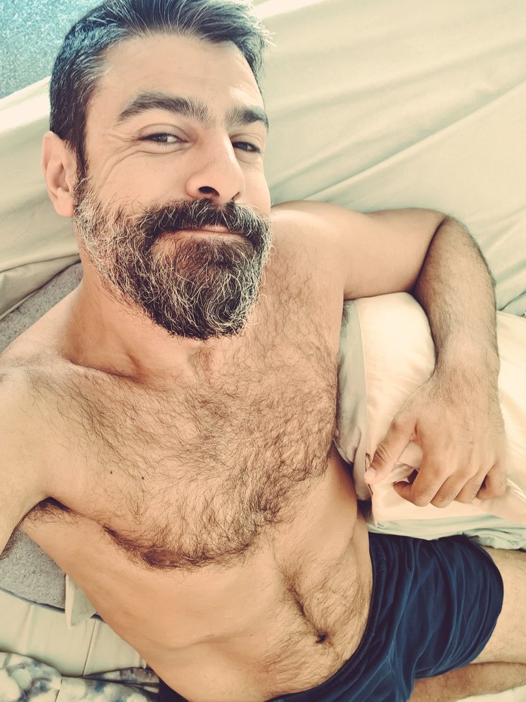 SEK TeddyWolf ® tweet media