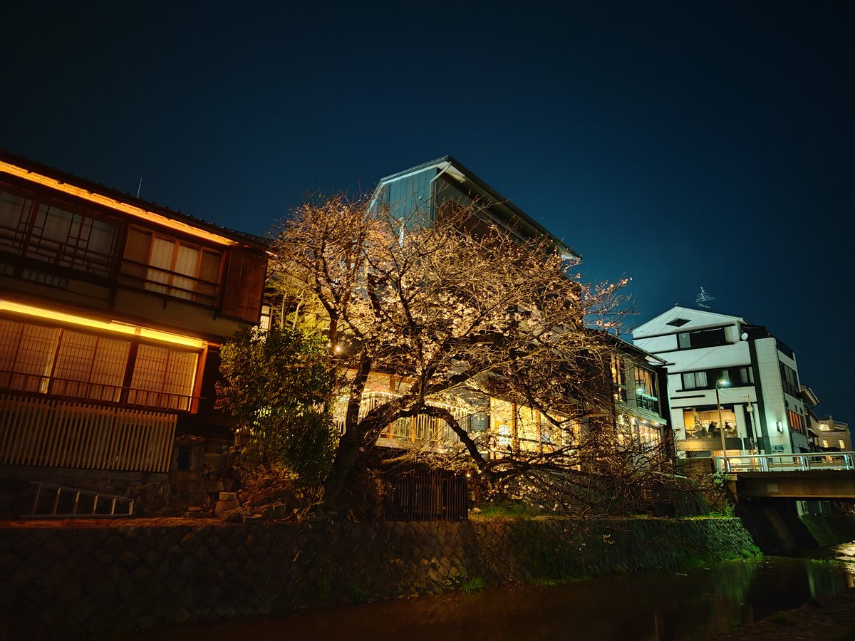 UnBannMee6 tweet media