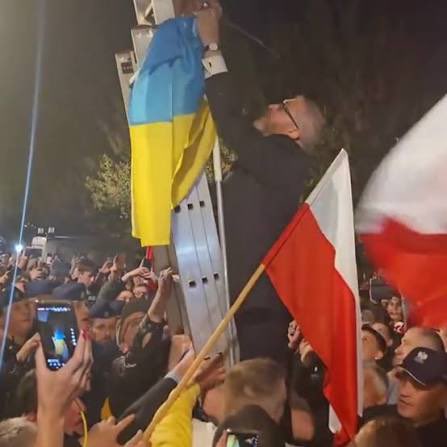 Slavic Networks tweet media