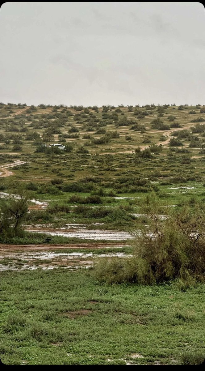 عبدالرحمن الجاسر tweet media