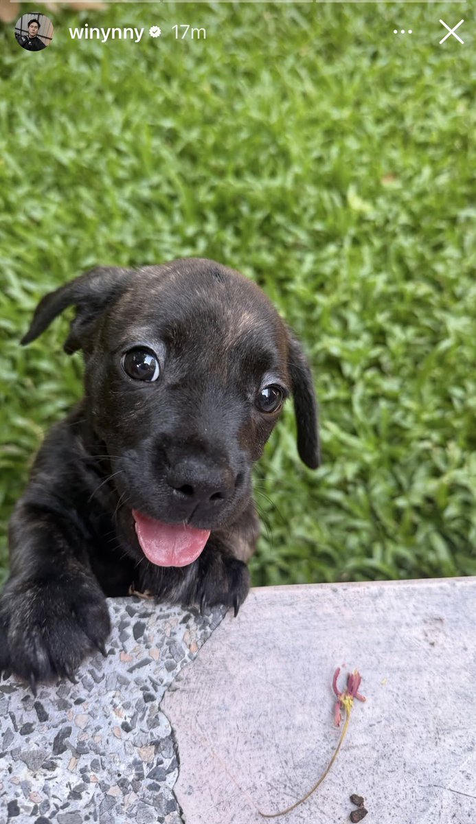 ツ. 𝙘𝙝 ⋆｡˚🍀 tweet media