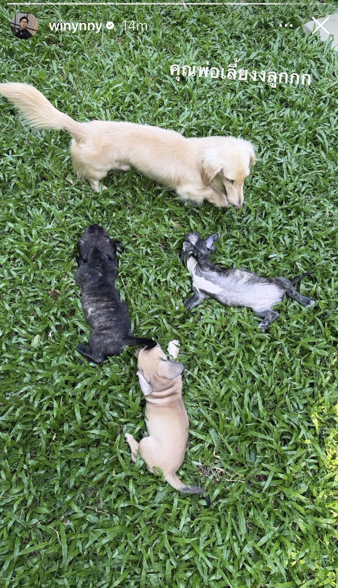 ツ. 𝙘𝙝 ⋆｡˚🍀 tweet media