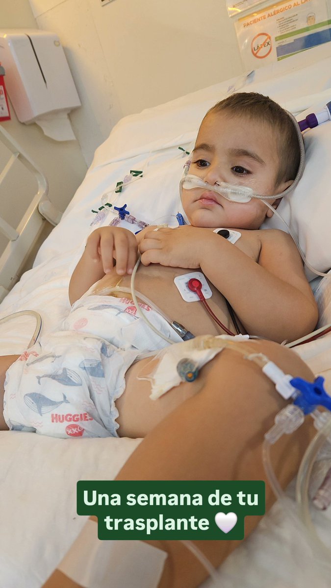 ▪ Marina Bidondo ▪ tweet media