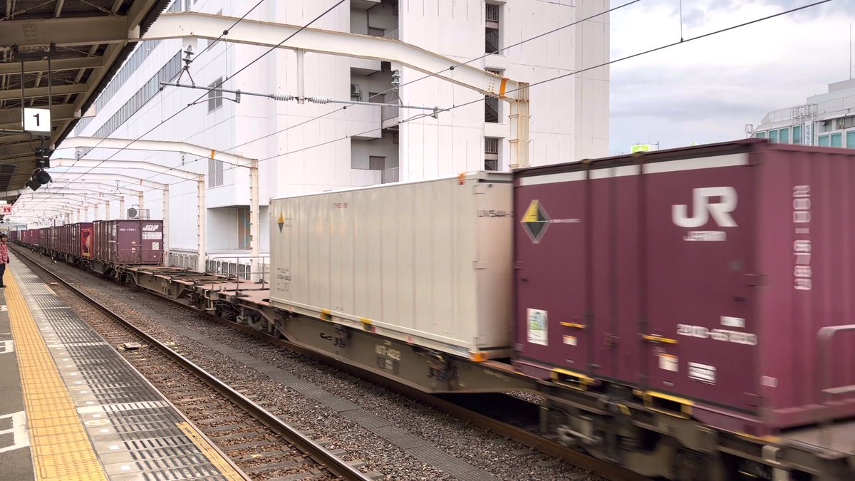 琉球里 tweet media