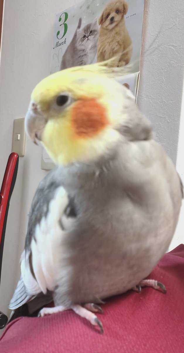 ゆうき tweet media