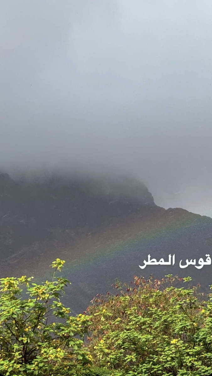 sm102053's tweet photo. #امطار_المدينه https://t.co/57l9ySkQfu