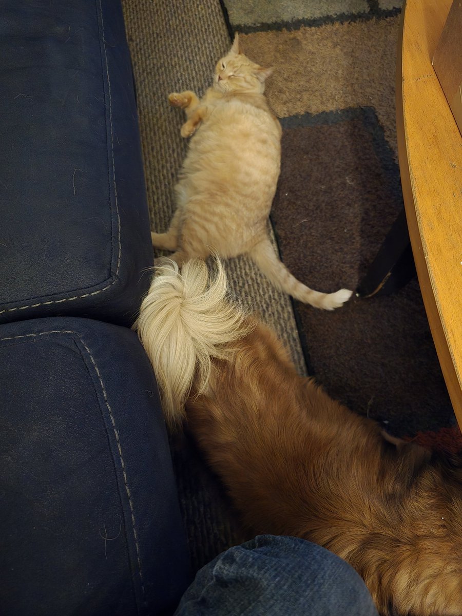 These 2