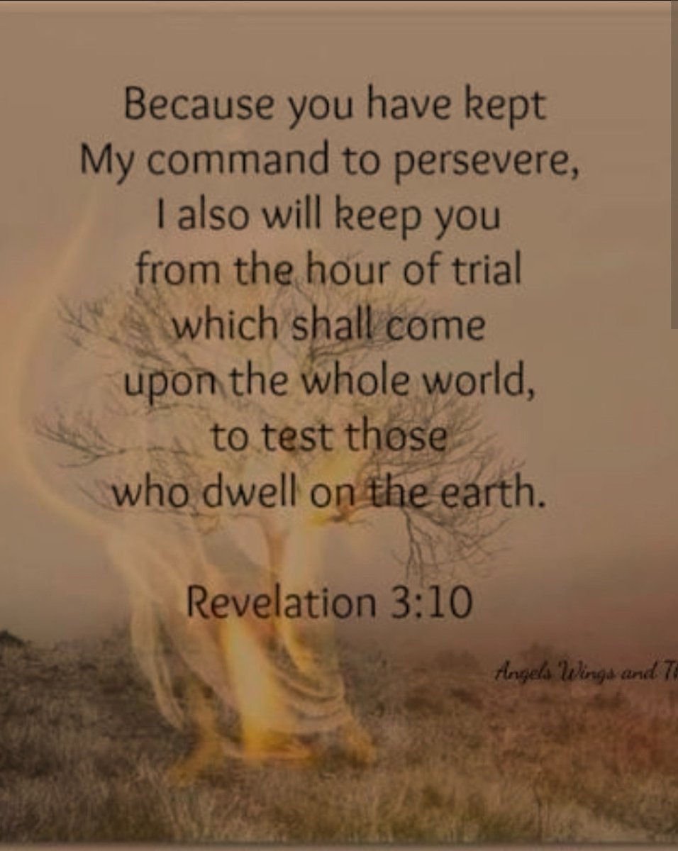 Nikko2689116328's tweet image. Can I get an Amen and a Hallelujah? 🎉🙏❤️🙏
#jesuscomingatrapture 
#BibleVerse 
#Bible