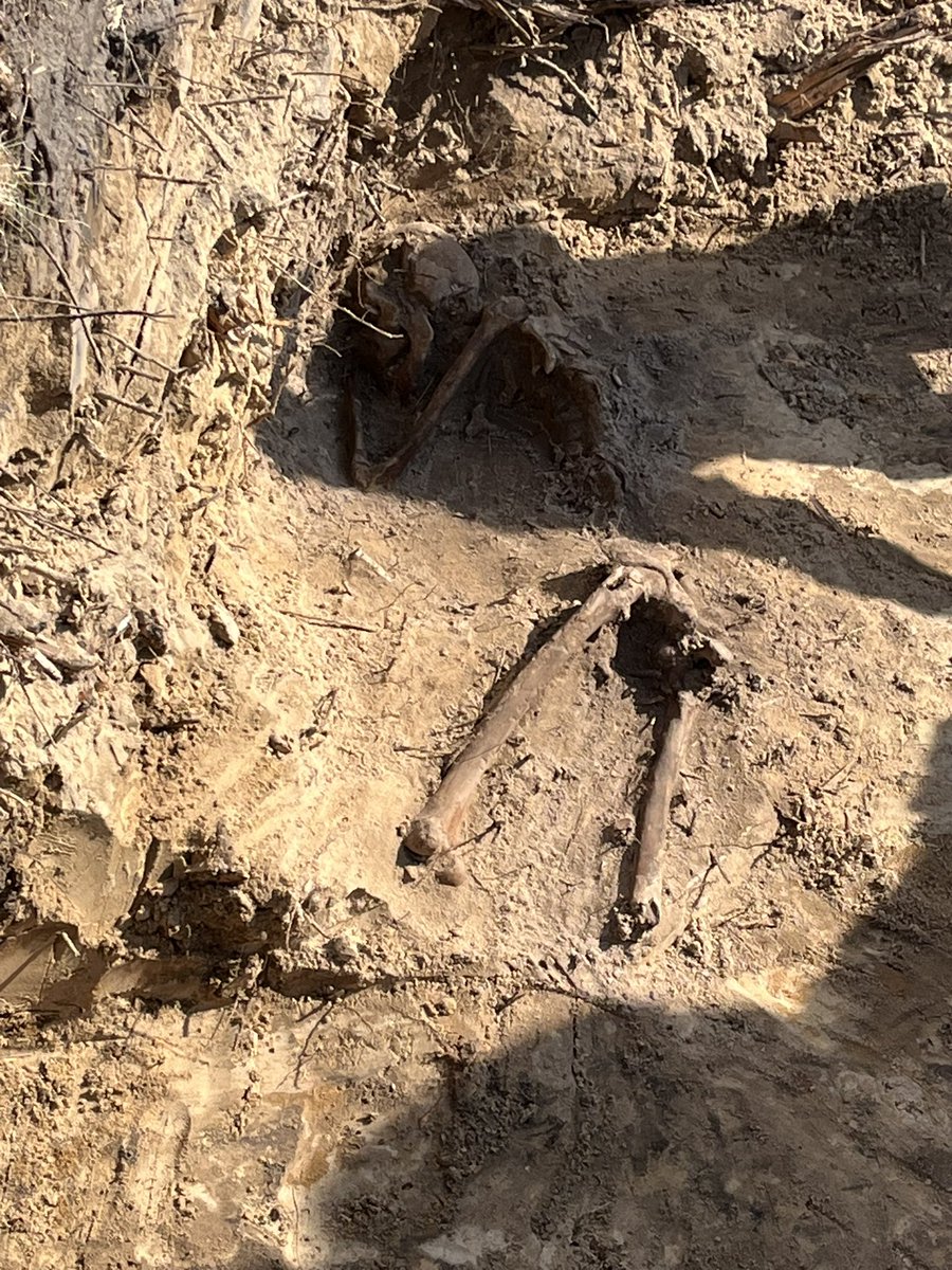 Karolina Romanowska tweet media