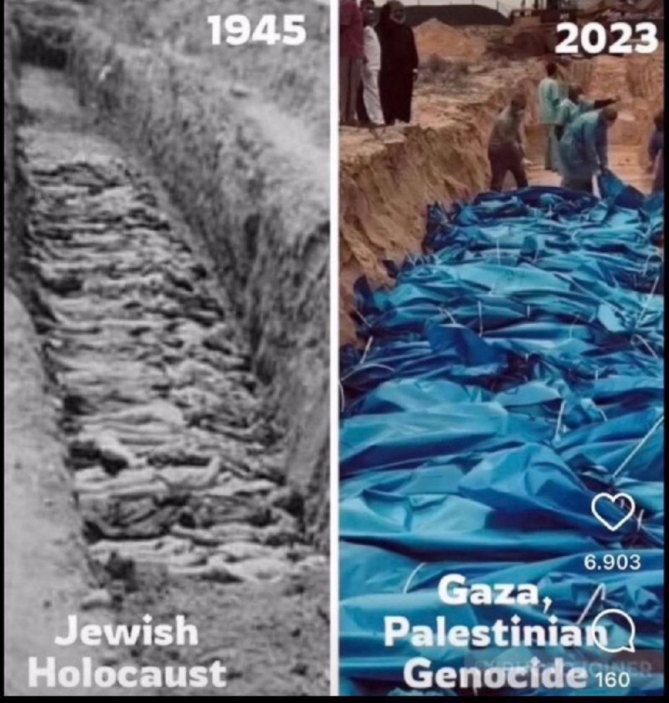 Drs. Bennie Drepessief 🇪🇸😎☀️📸 tweet media