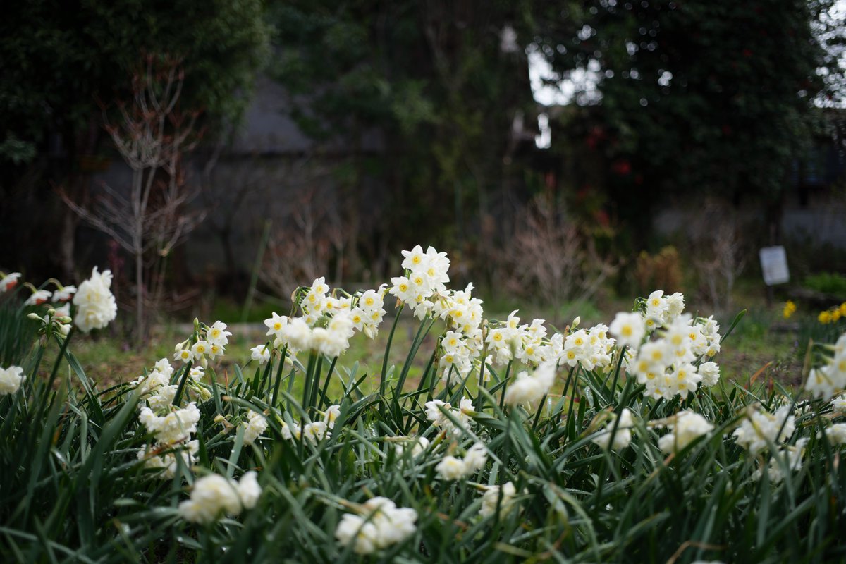 AuspiciousView tweet picture