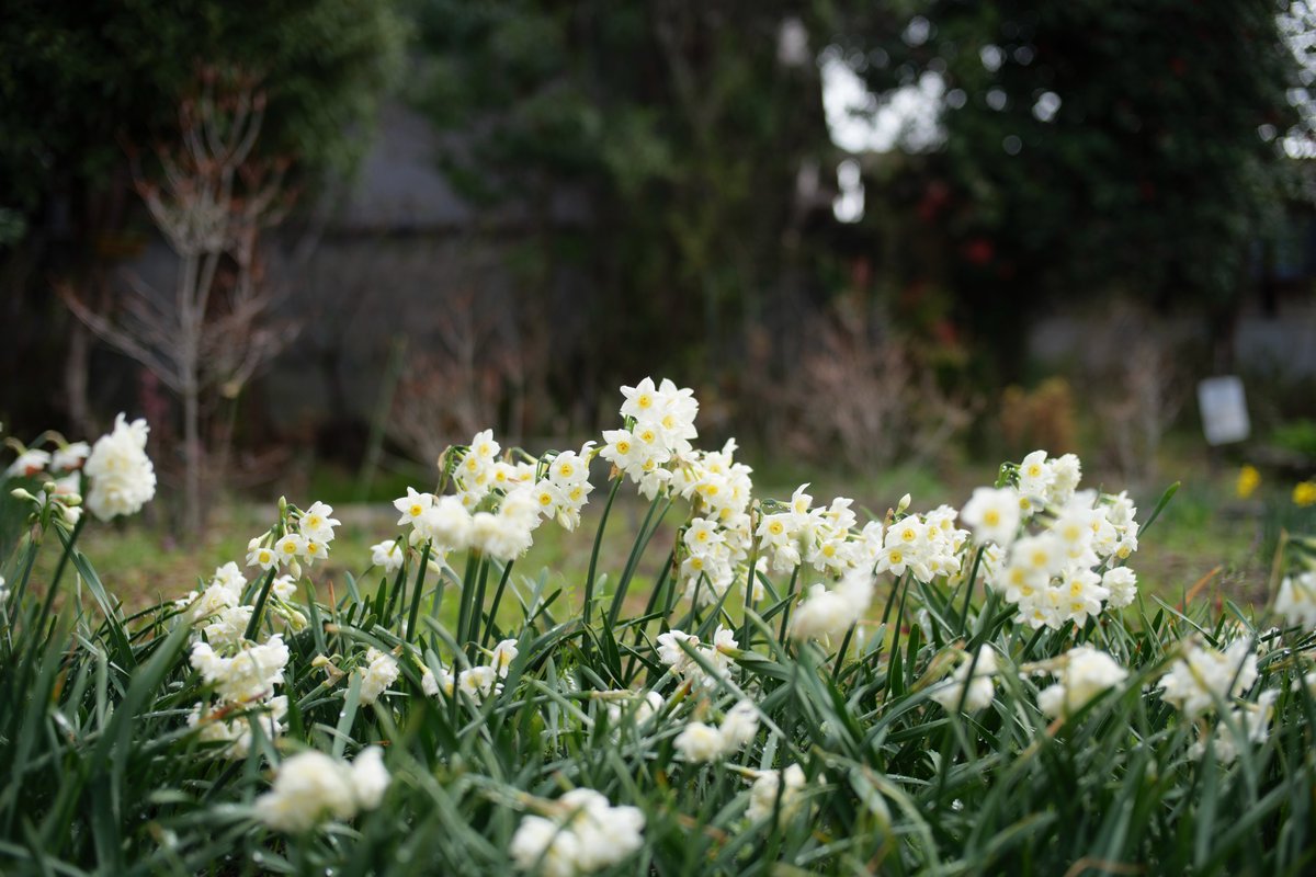 AuspiciousView tweet picture
