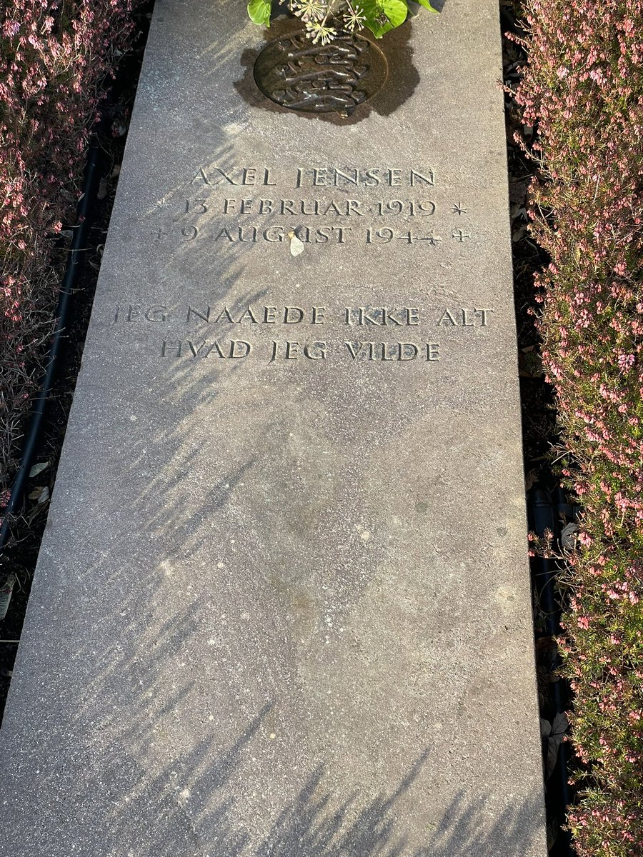 A🇳🇵🇩🇰 tweet media