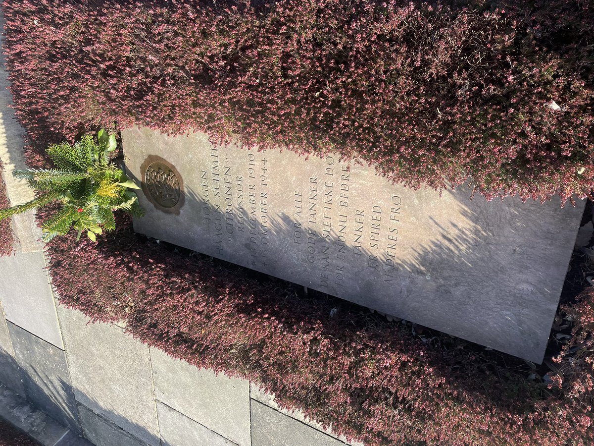 A🇳🇵🇩🇰 tweet media