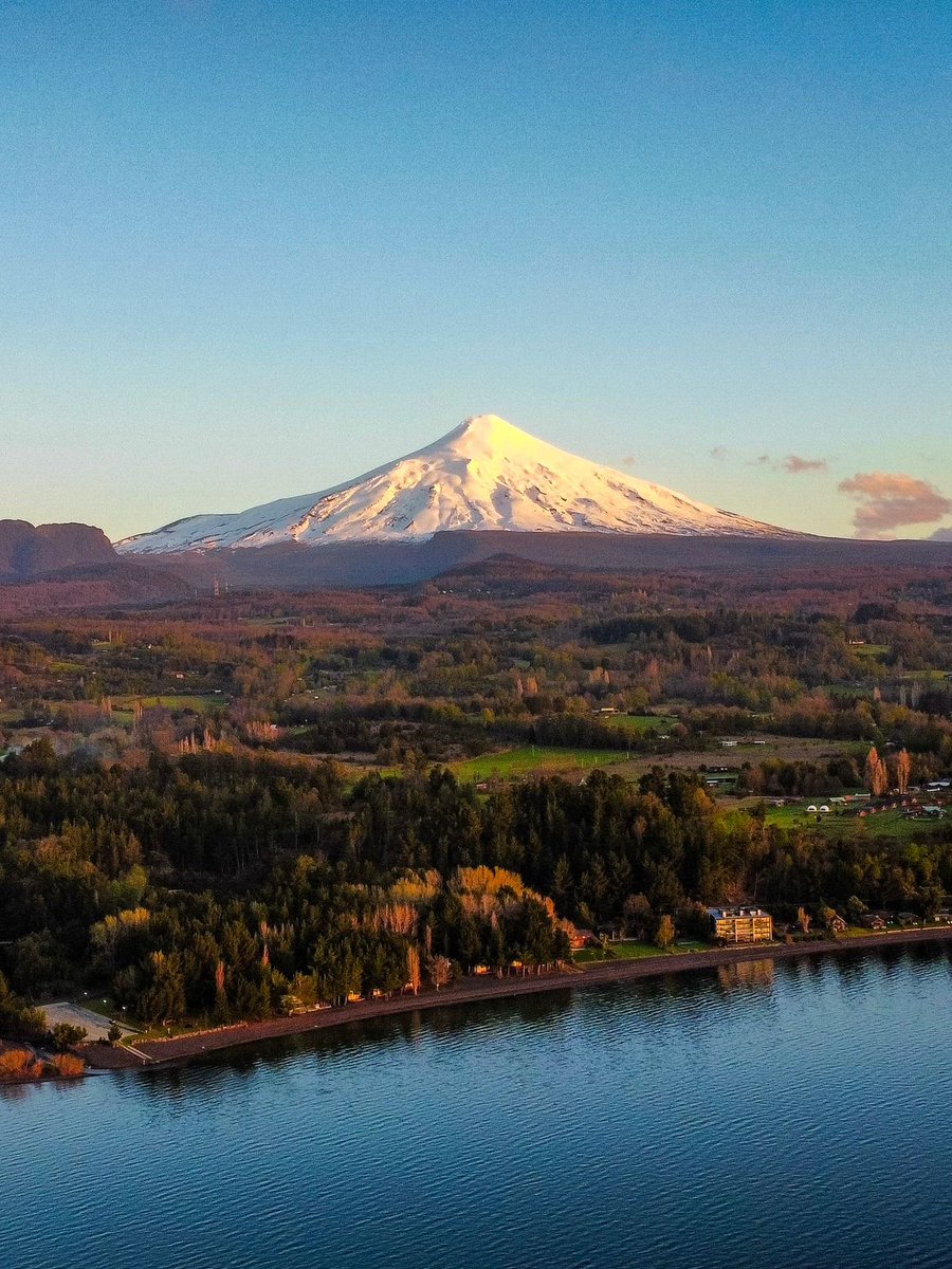 AraucaníaSinFrontera tweet media