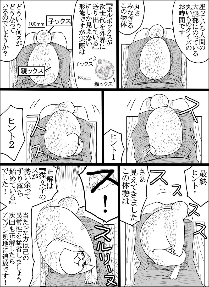 セントラルド熊 tweet media