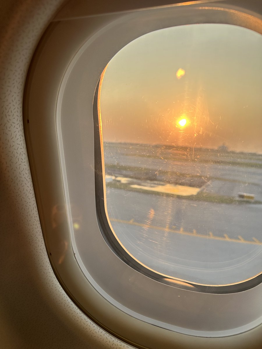 ALBEE-75 tweet media