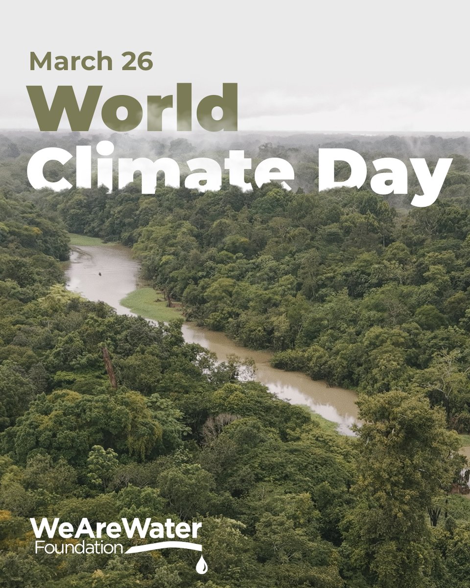 We Are Water Foundation tweet media