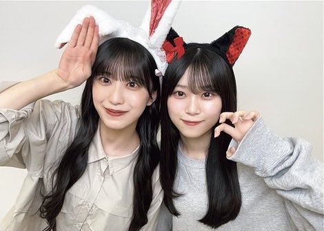 パピヨン tweet media