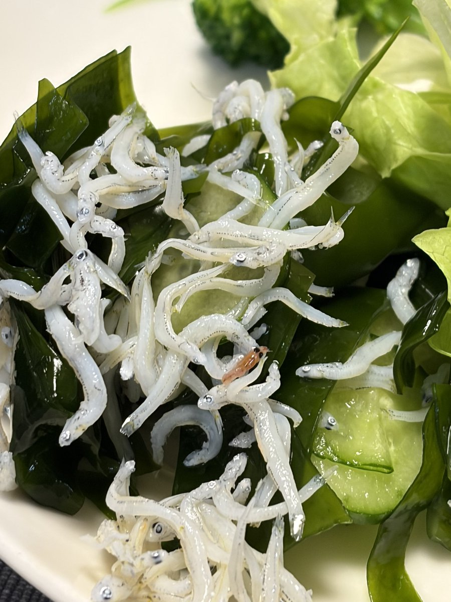 CakeRoll tweet media