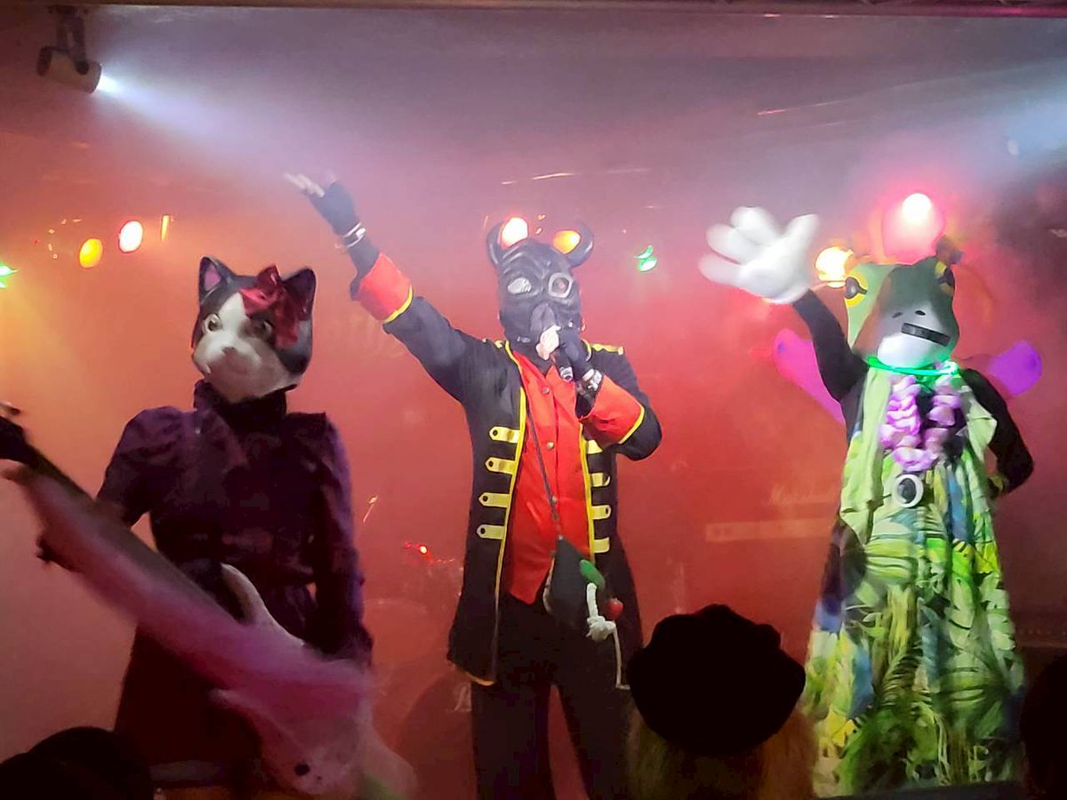 吉ガエル（パンダwithフレンズ. Animal-Z） tweet media