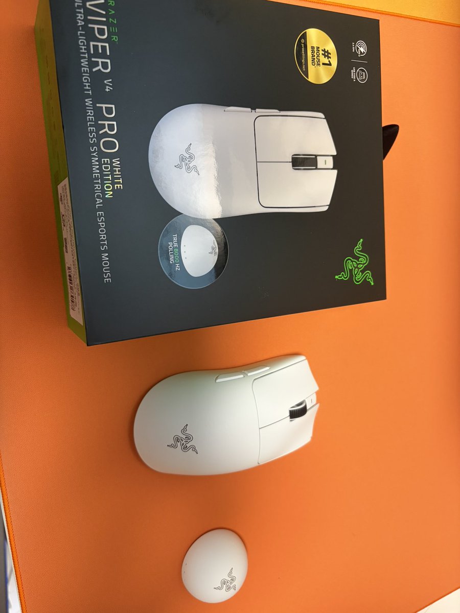 morikatsu∞ tweet media