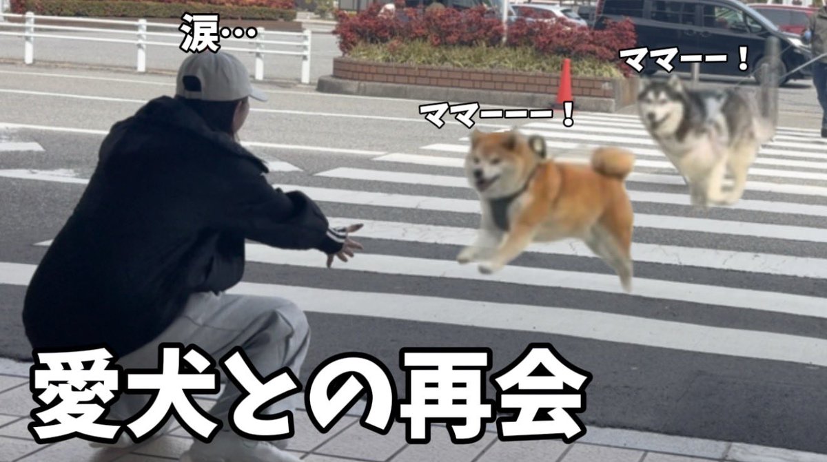 もちごめ兄弟 (@mochigome810) / Posts / X