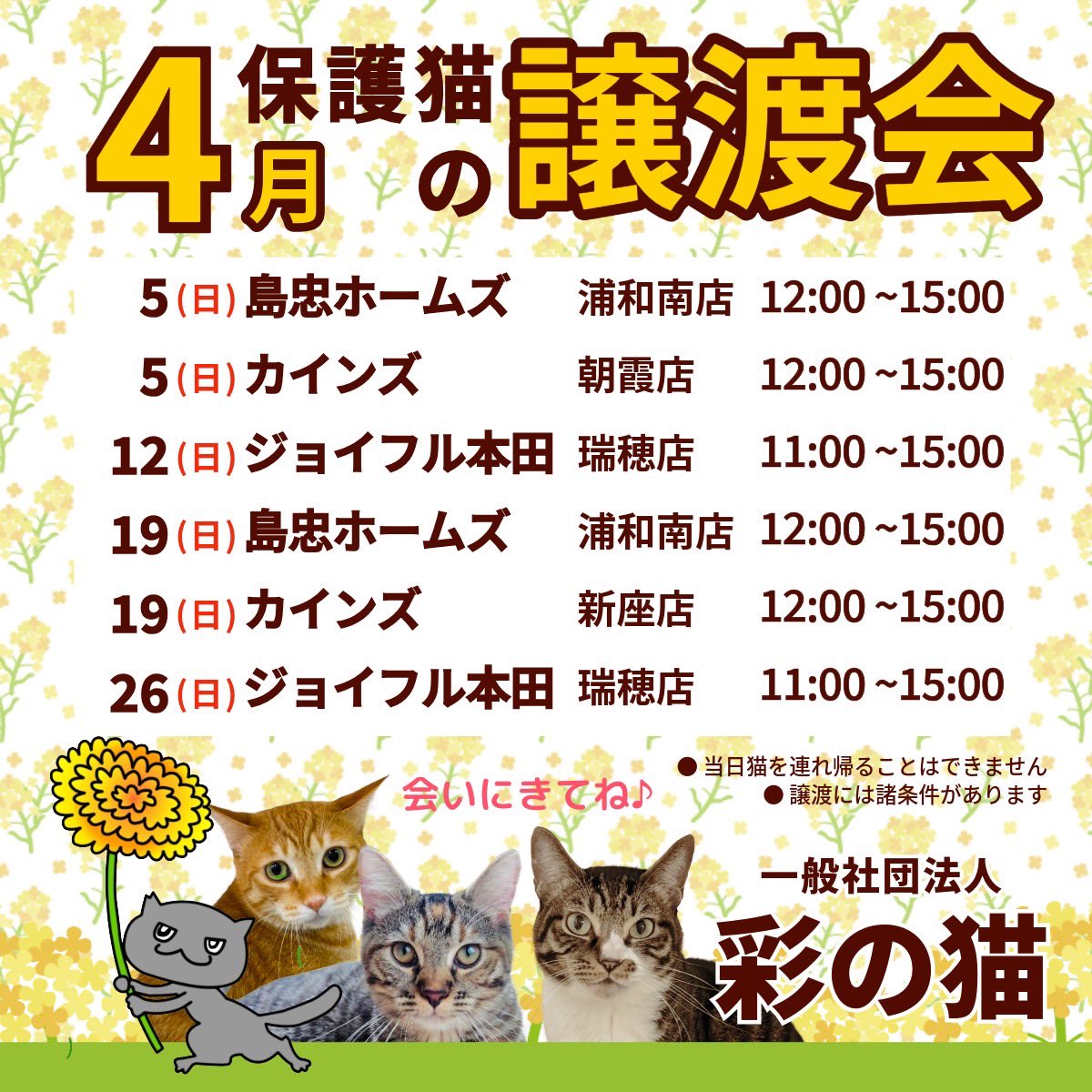 彩の猫 ＊スタッフのつぶやき🐈🍀🏥次回譲渡会4/3(日) tweet media