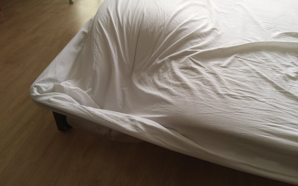 Don Grizzly Modeste tweet media